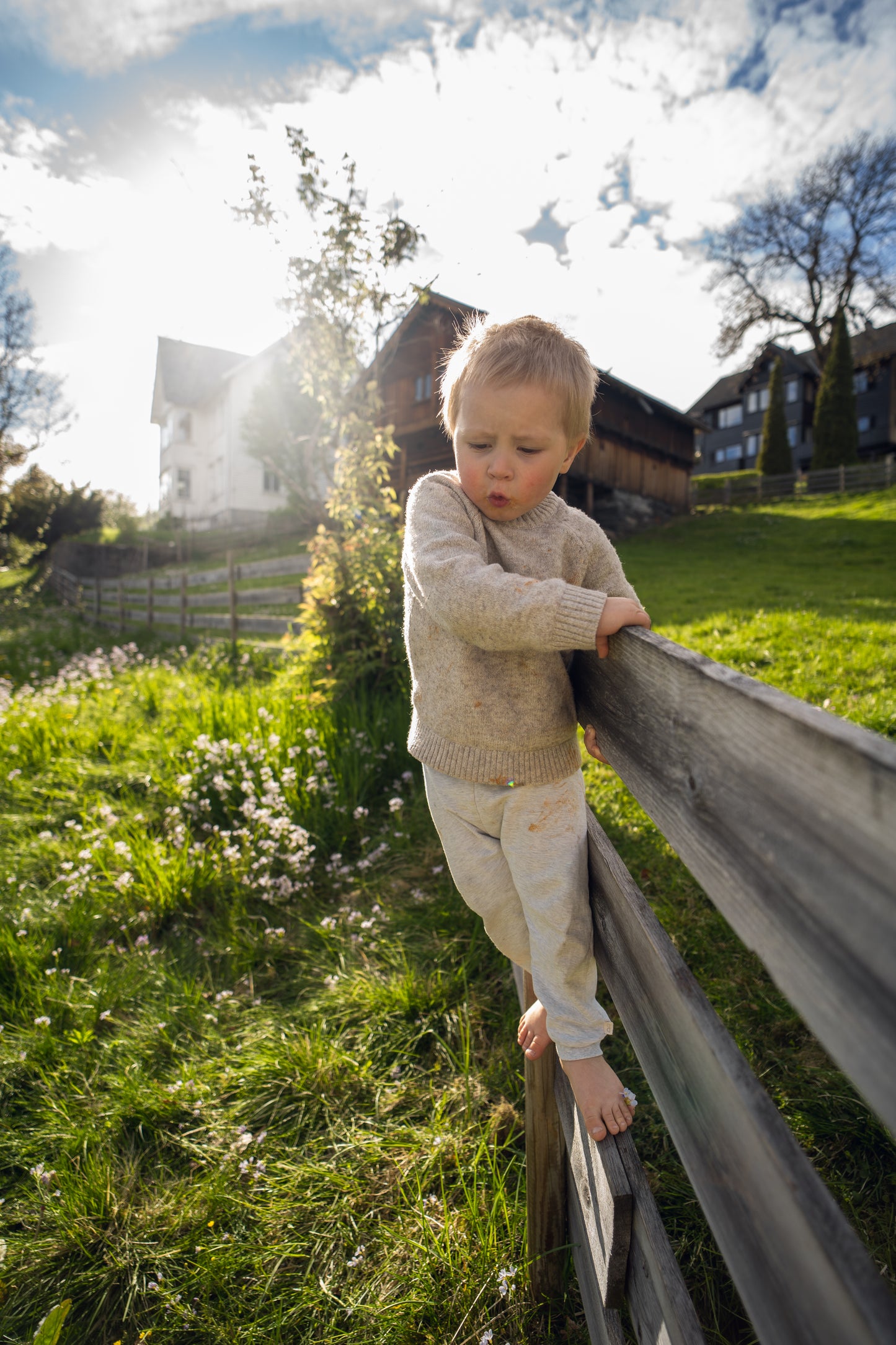 Familie og barn