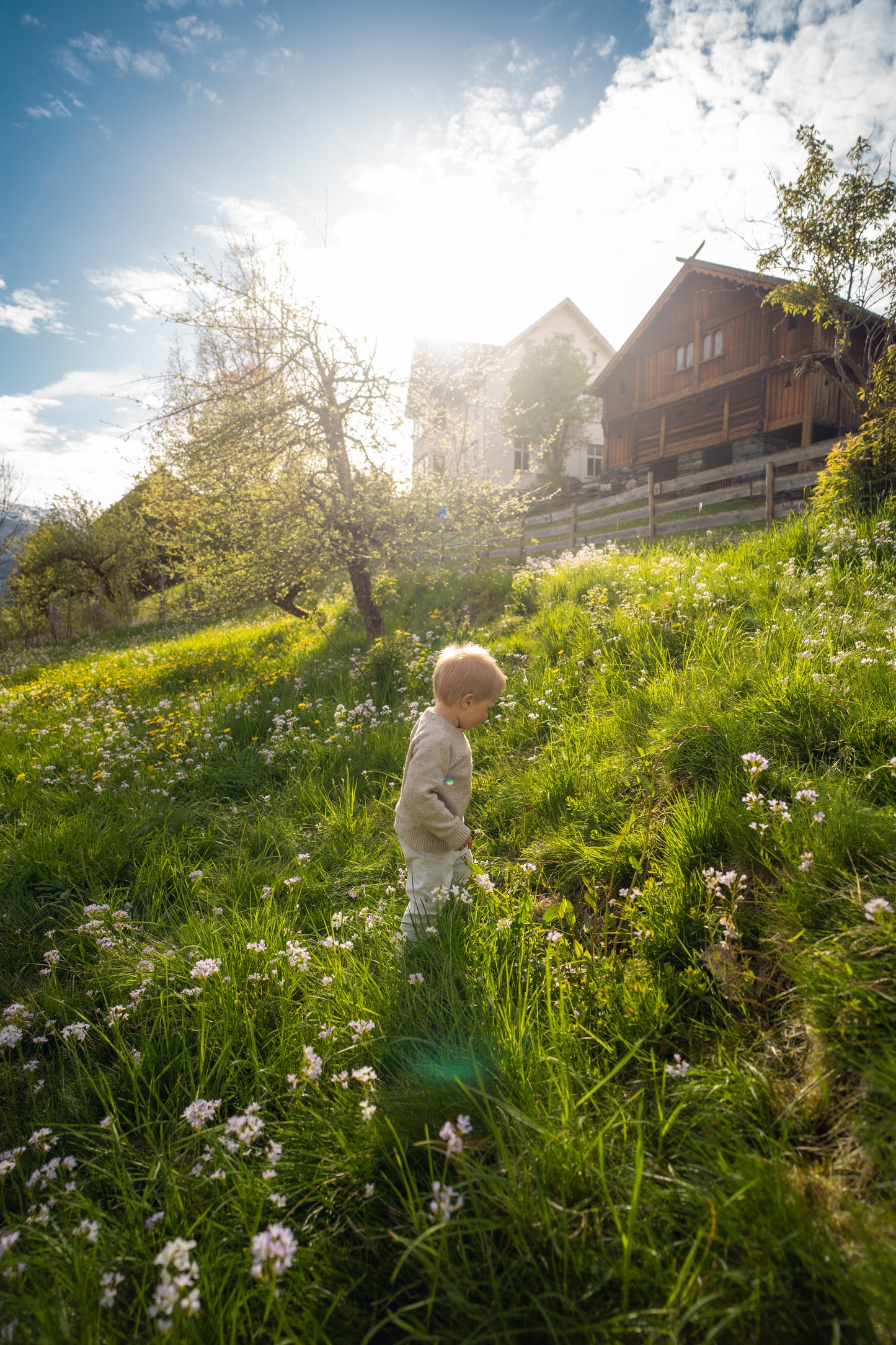Familie og barn